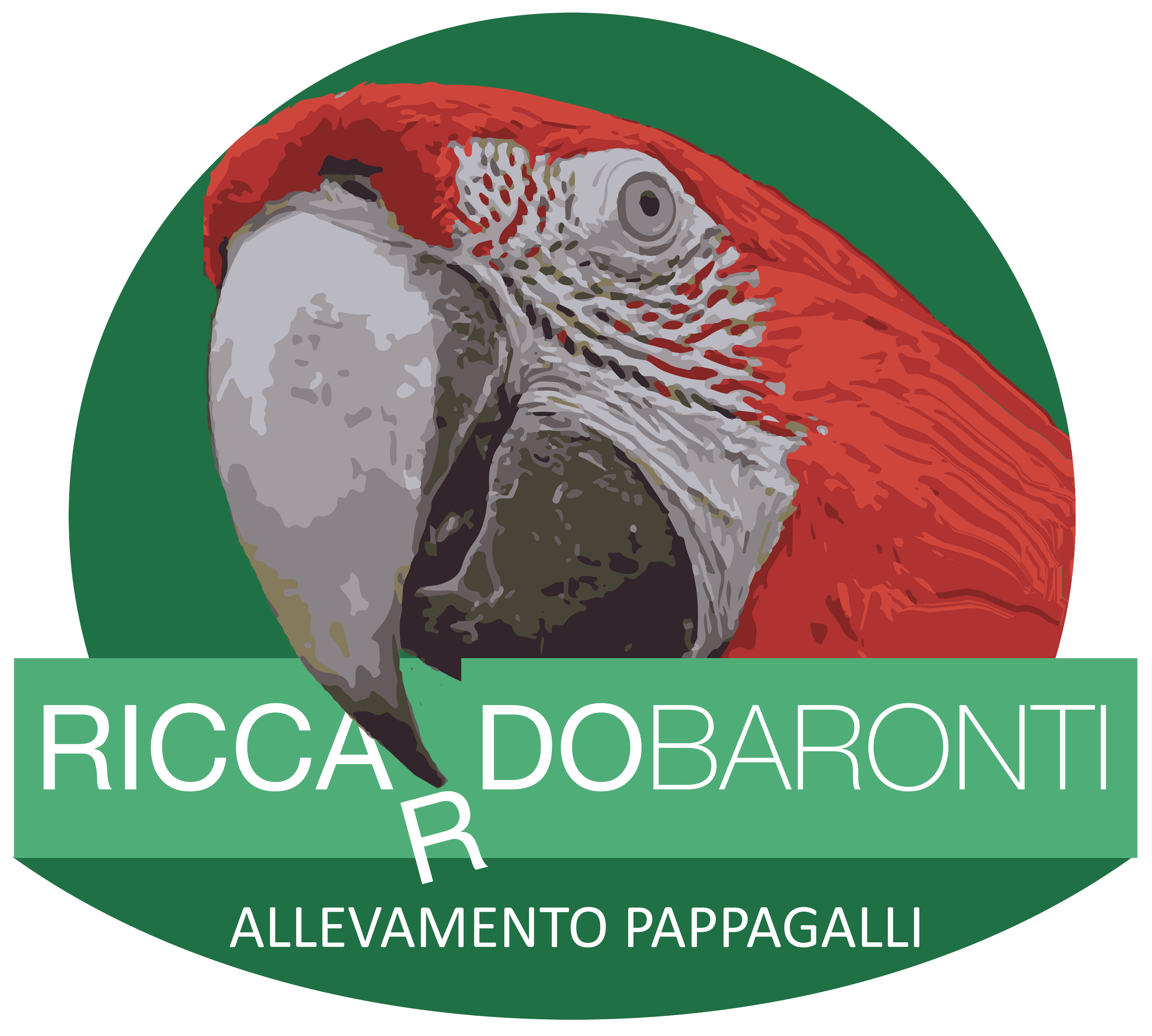 riccardo baronti allevamento pappagalli